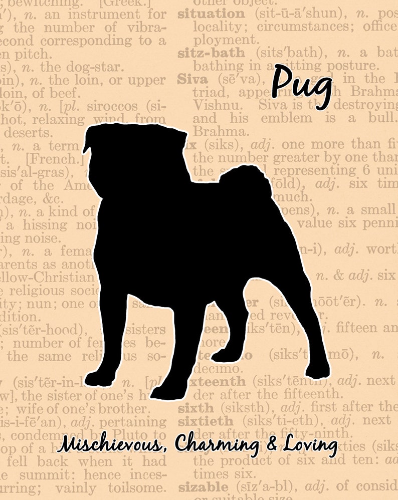 express pug template examples