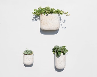 Speckled Earthware Indoor Self Watering Wall Planter - Set of 3