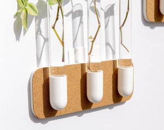 Wall Propagation Station Hanging - Cork - Three Test Tubes