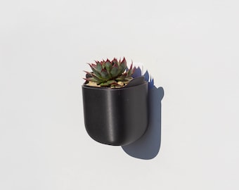 Black Indoor Self Watering Floating Wall Planter - Size Mini