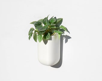 Self Watering Floating Wall Planter with Drainage - Matte White Finish