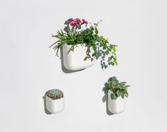 Matte White Indoor Self Watering Wall Planter - Set of 3