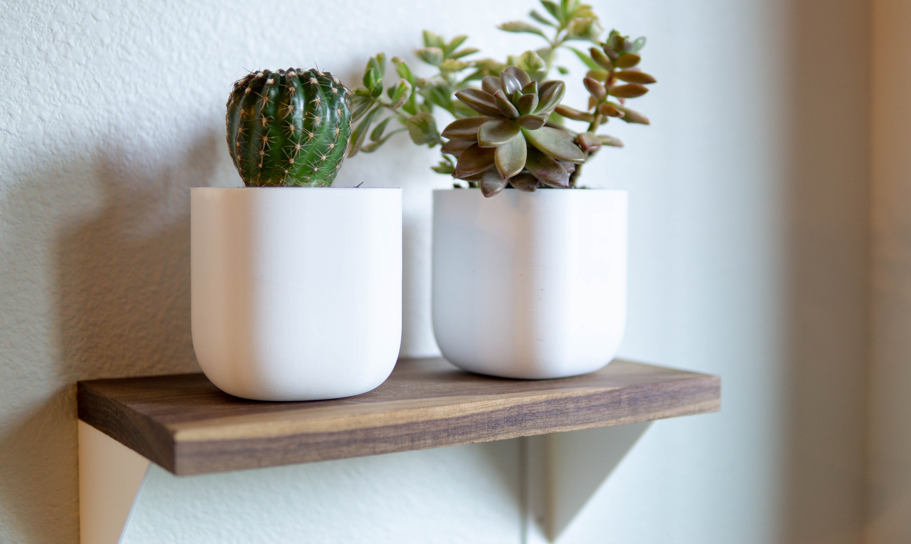 Self Watering Wall Planter Etsy