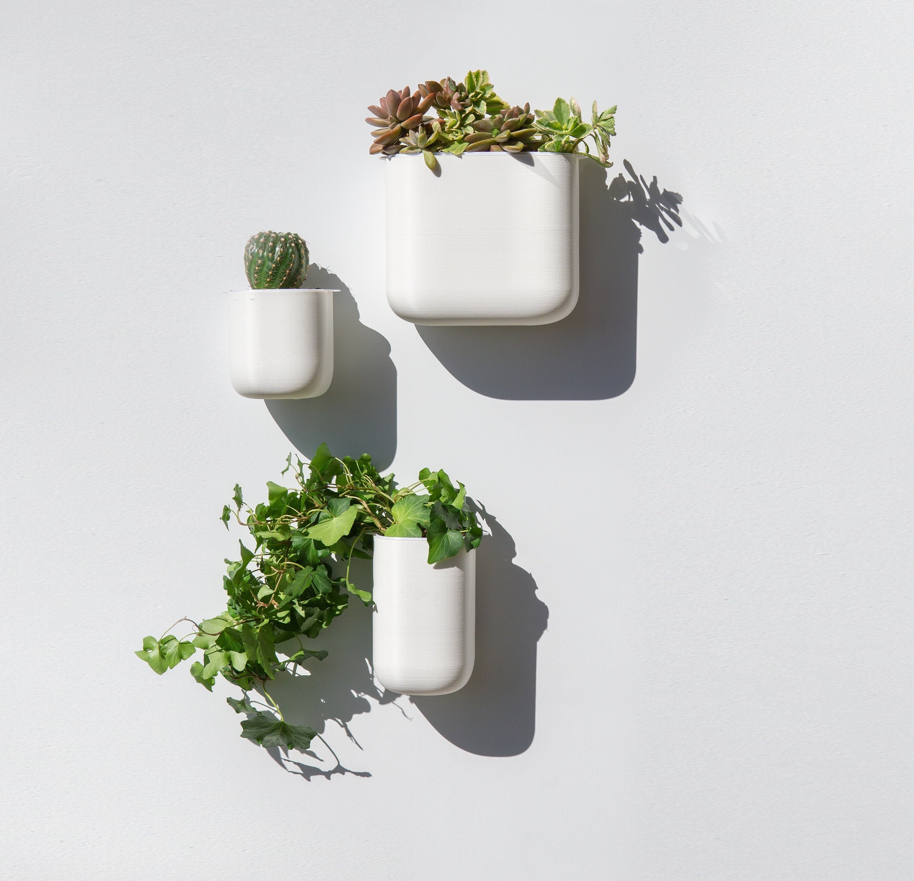 Self Watering Wall Planter Etsy