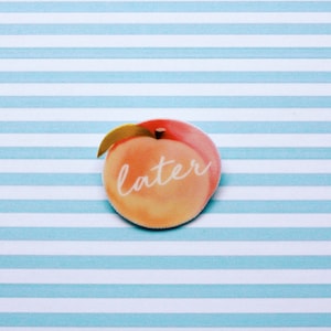 Call Me By Your Name Brooch Peach Brooch Elio Peach Brooch Etsy