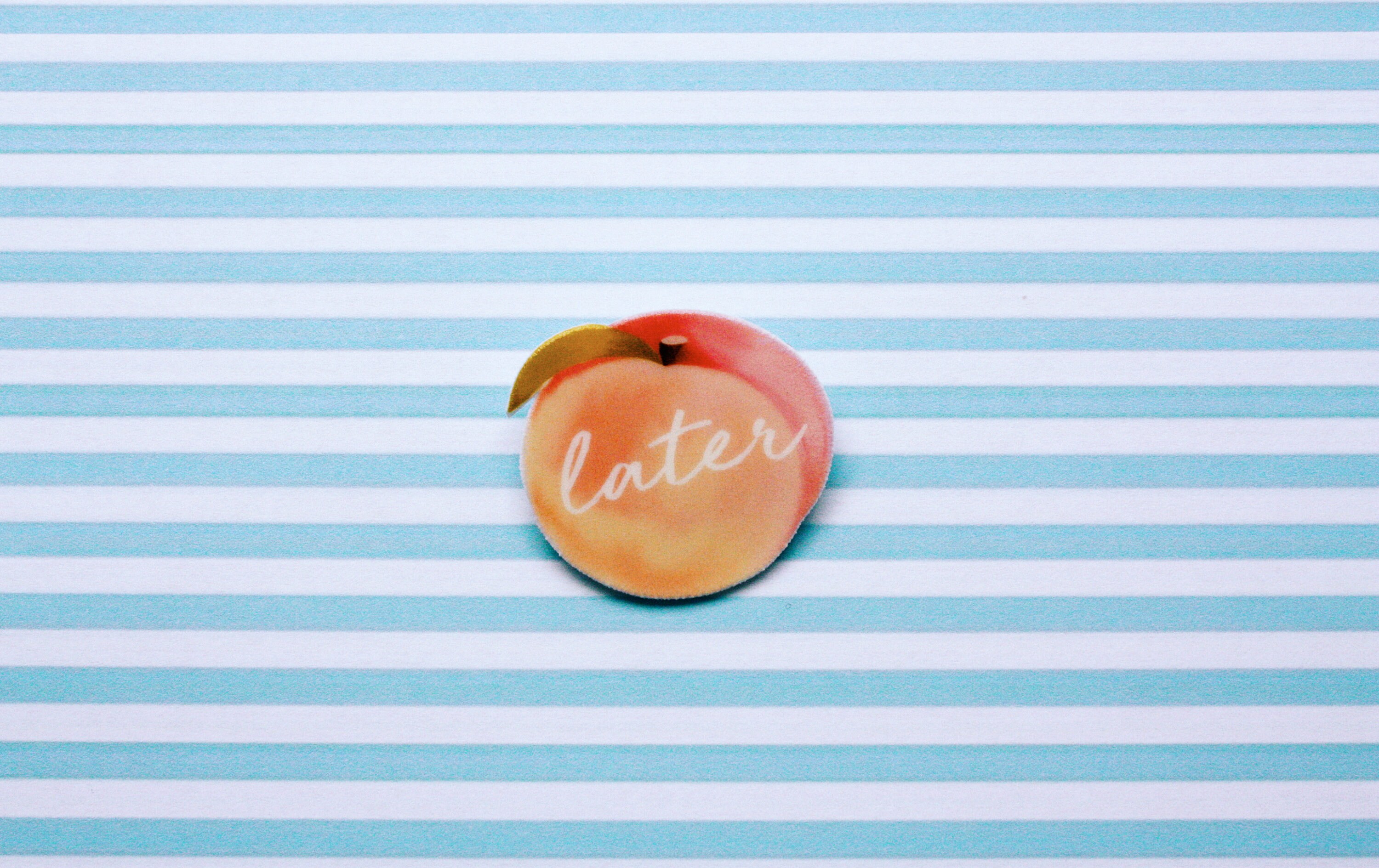 Call Me By Your Name Brooch Peach Brooch Elio Peach Brooch Etsy Norway Call Me By Your Name Brooch Peach Brooch Elio Peach Brooch Etsy Norway