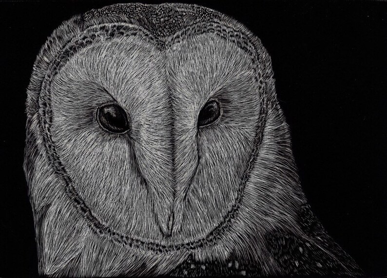 Barn Owl Scratchboard 5x7 inches Etsy