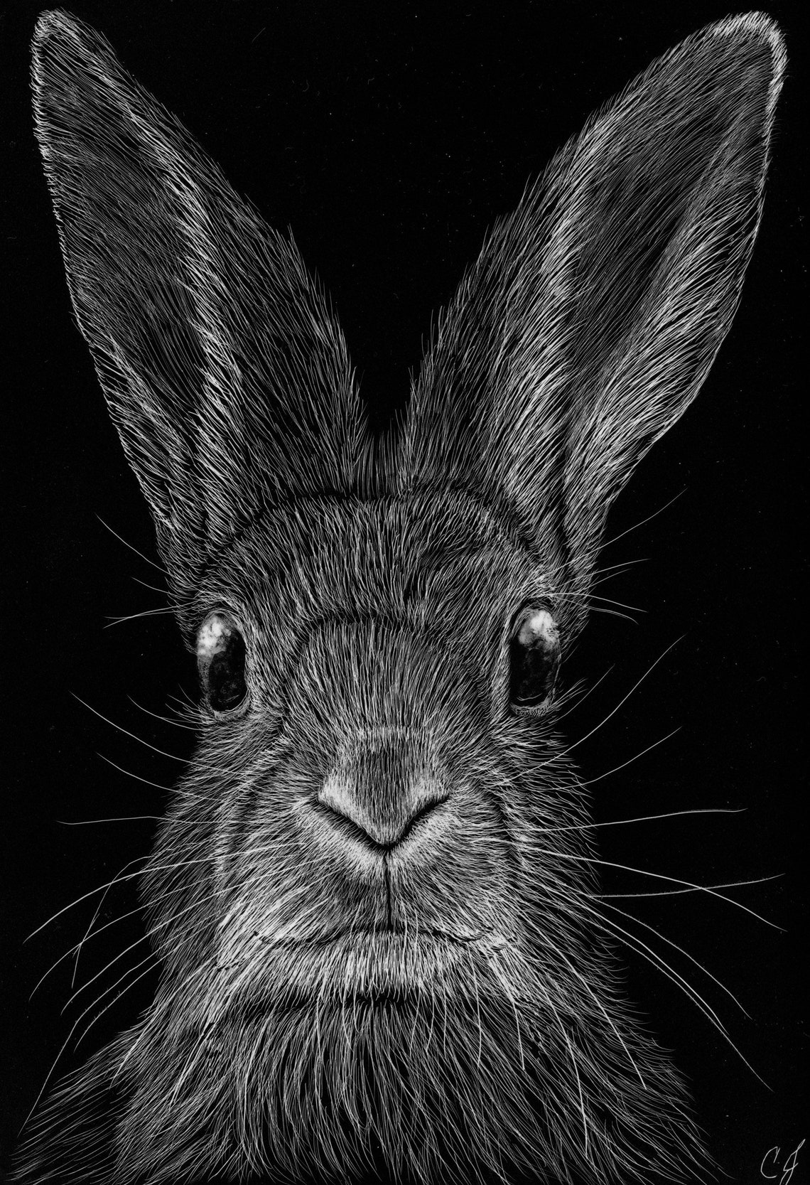 Cute Bunny Scratchboards One of a Kind Free Shipping Etsy