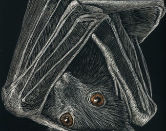 Bats!  Ornaments, prints and originals in the scratchboard medium!