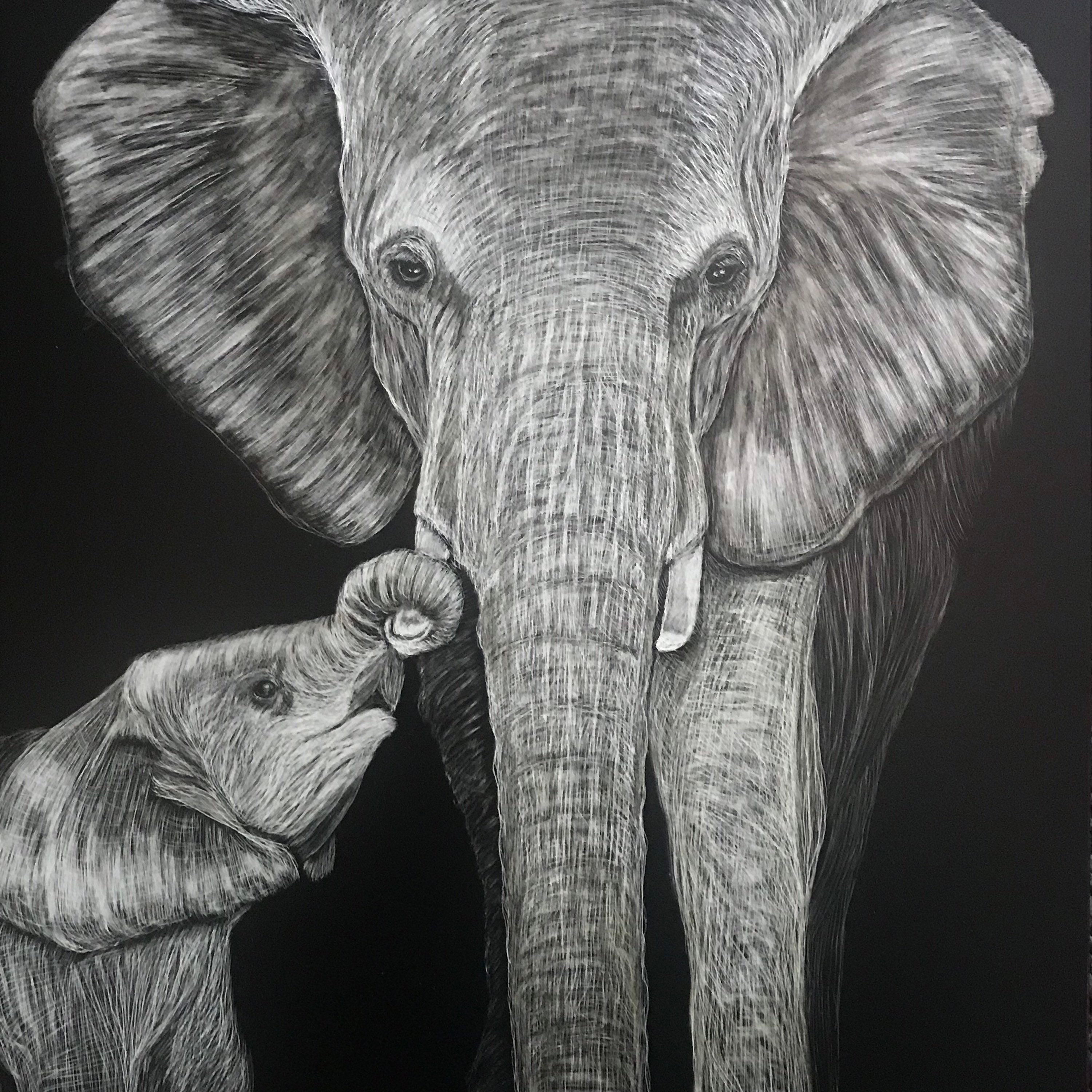 An Elephant a Day: Elephant No. 290: Scratchboard