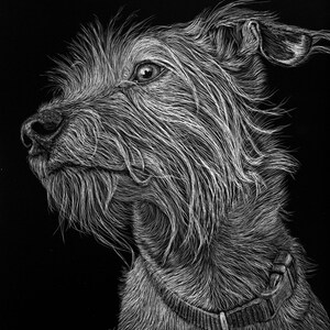 Custom Pet Portrait - Scratchboard (5x7)