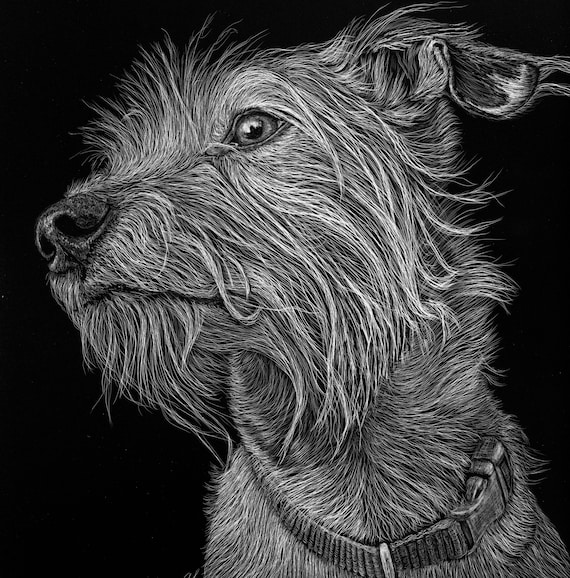 Pet Scratchboards Made to Order Etsy