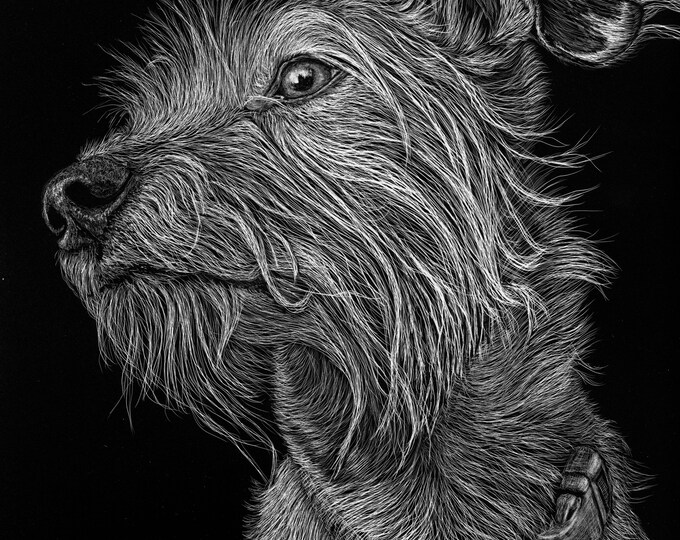 Pet scratchboards made to order