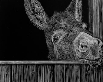 Donkey scratchboard - who doesn't love an ass?