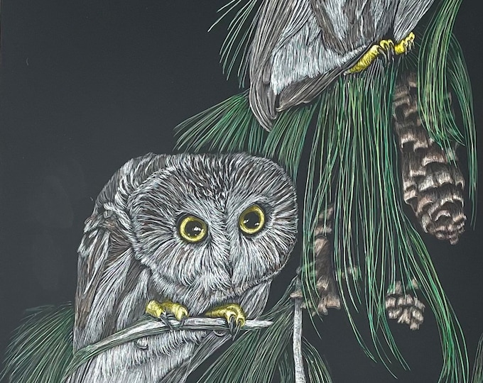 Large owl scratchboard!