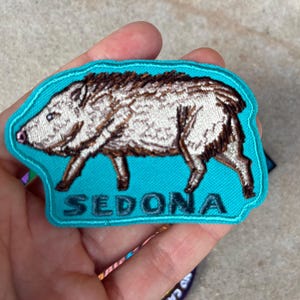 May include: Embroidered patch depicting a javelina with brown and white fur, set against a turquoise background. The word "SEDONA" is embroidered in turquoise below the animal. The patch has a turquoise border.