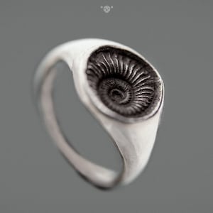 Puede incluir: Un anillo de plata con un diseño detallado de fósil de amonita gris oscuro. El anillo tiene una banda lisa y pulida y una cara redondeada que muestra el patrón en espiral del fósil. El anillo está sobre un fondo gris.