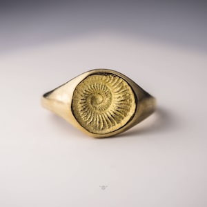 The Golden Spiral - bronze ring by h i p p i e k o a l a