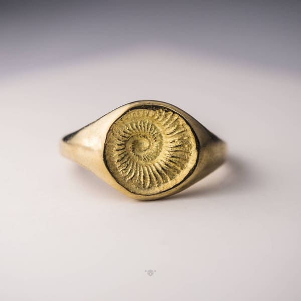 Die goldene Spirale – Bronzering von h i p p i e k o a l a