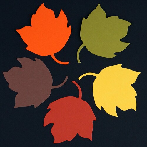 Autumn Leaf Die Cuts Large Paper Maple Leaves Fall Wedding Etsy
