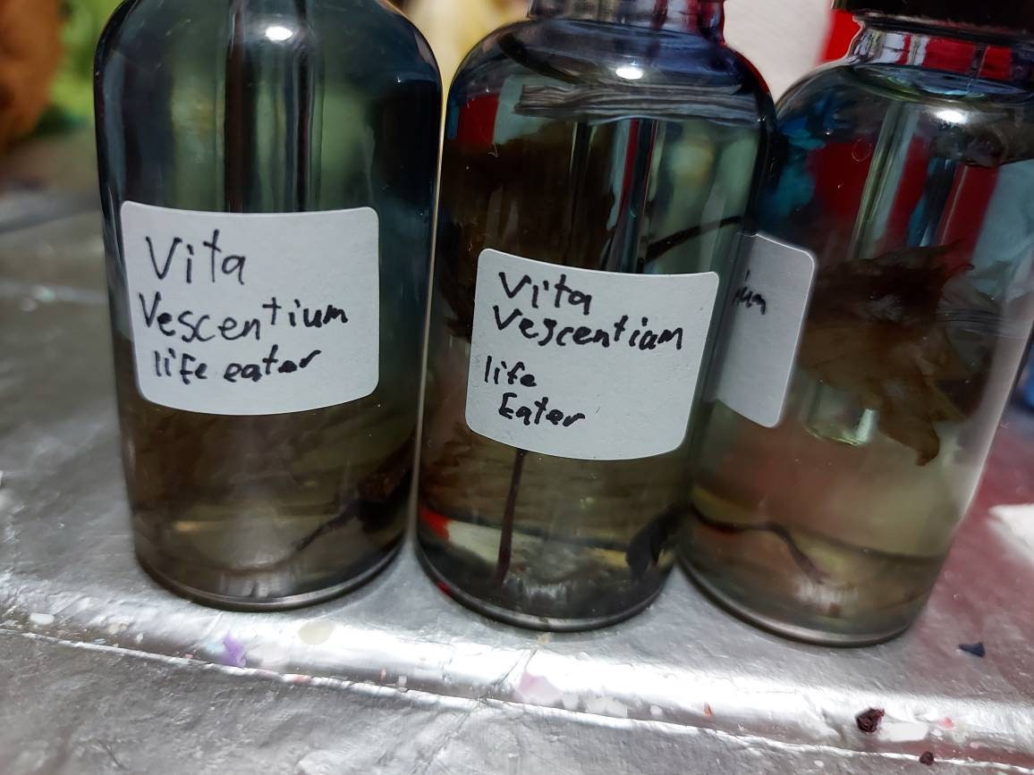 Olio rituale Vita vescentium (mangiatore di vita).