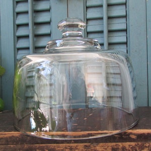 May include: A clear glass cake dome with a rounded base and a knobbed handle. The dome is sitting on a wooden surface, with a blue shutter background and green foliage.