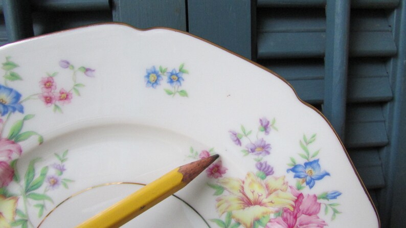 H and Co Selb Bavaria Germany Strasborg plates dessert plates bread /& butter plates small plates vintage plates floral plates 2 Plates