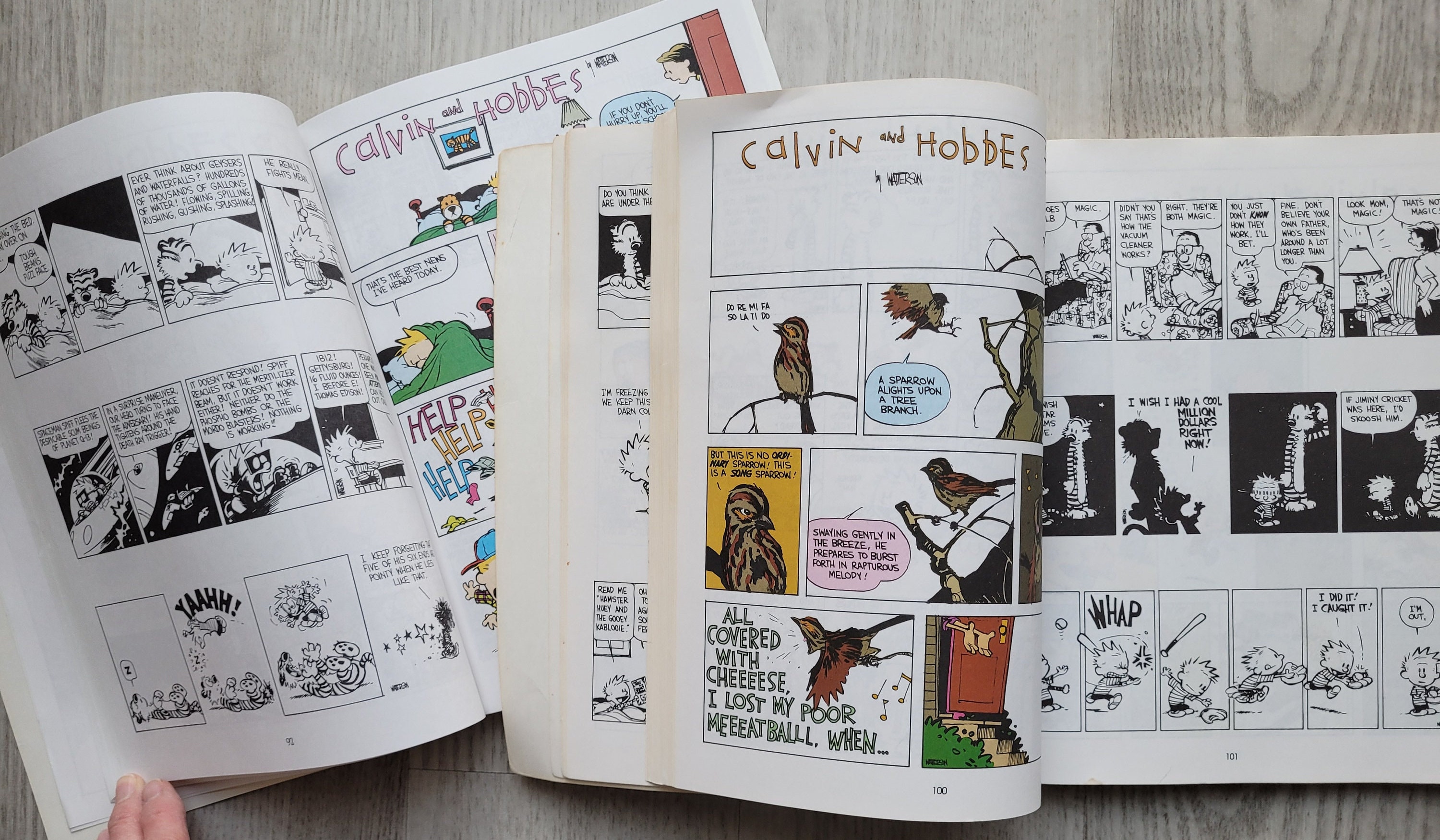 Calvin and Hobbes books Its a Magical World Treasure