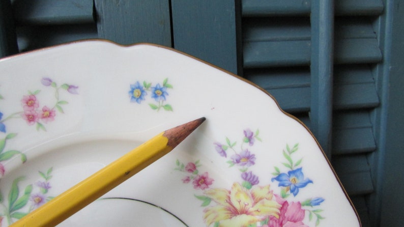 H and Co Selb Bavaria Germany Strasborg plates dessert plates bread /& butter plates small plates vintage plates floral plates 2 Plates