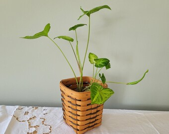 Vintage Baskets 1992 Longaberger Wicker Basket: Square baskets vintage Longaberger small woven baskets Home Decor