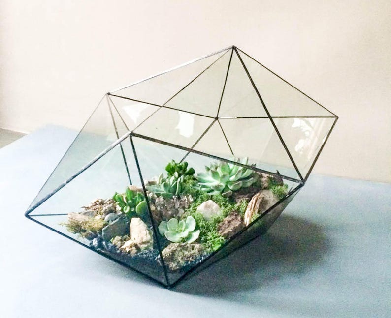 Modern geometric terrarium Hexadecahedron 3 sizes. Glass Etsy