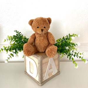 May include: A brown teddy bear sitting on a wooden block with the letters "D" and "A" on it. The block is wrapped in twine. There are green plants with white flowers on either side of the bear.