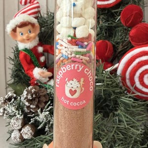 May include: A clear glass test tube filled with layers of brown cocoa powder, colorful sprinkles, and white mini marshmallows, topped with a cork stopper. A round pink label features the text raspberry choco hot cocoa and an illustration.