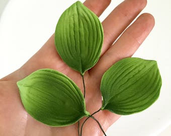 Set of 10 Beautiful Green Leaves sugar gum paste leaves for your cakes or cupcakes