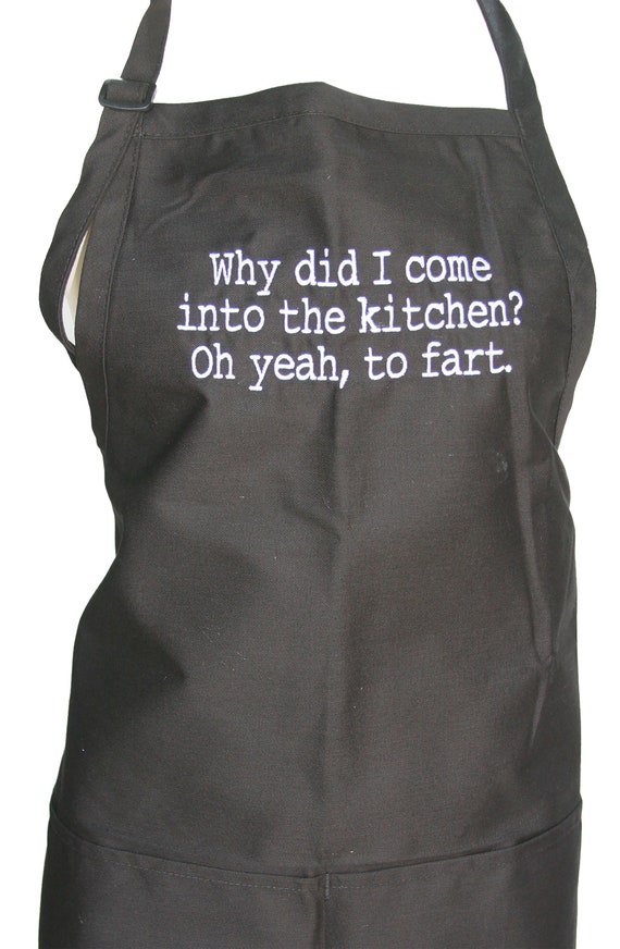 Why Did I Come Into the Kitchen...Fart  (Adult Adjustable Embroidered Apron with Pockets )