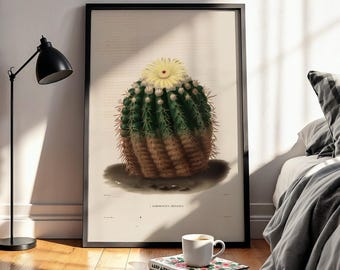 Arte mural botánico vintage de cactus / Ilustración de plantas del desierto del suroeste / Decoración boho para el hogar