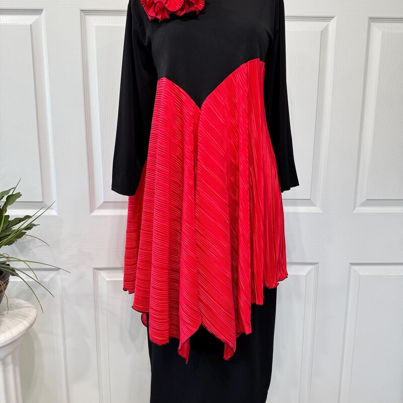 Bloom red pleated top  set