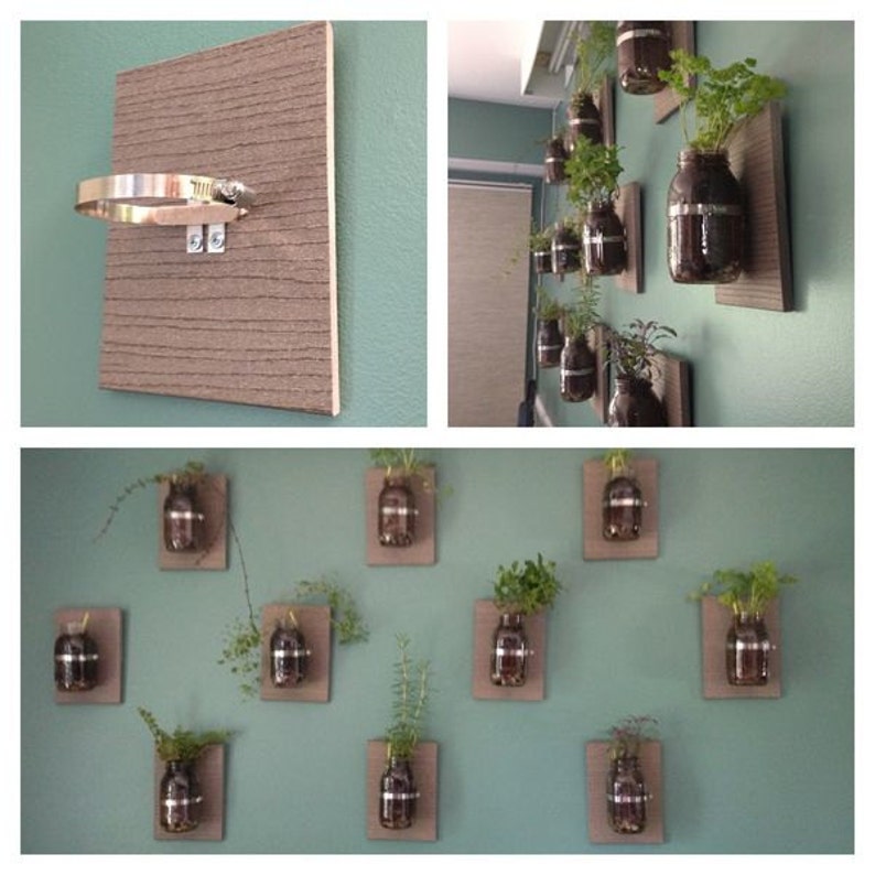 Herb Garden for Wall | Etsy