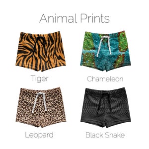 Boys Swim Trunks, Toddler Boy Swim Shorts, Boys Euro Swim Trunks, Baby Boy Swim Trunks, Toddler Euro Swim Trunks