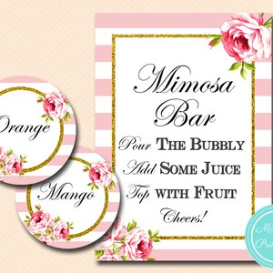 Pink and Gold Mimosa Bar Sign, Mimosa Bar Printable, Mimosa Juice Tags, Mimosa Sign, Mimosa Bar, Shower Decorations BS11 SN27 tlc50
