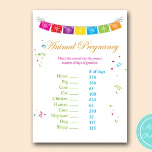 Animal Pregnancy Gestation Game, Baby Shower animal Game, Fiesta Baby Shower, Baby Shower Games & Activities, Tropical Baby Shower TLC107 MB