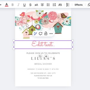 DIY Sprinkle and Confetti Custom Invitation, Baby Shower Invitation, Bridal Shower, Birthday Party Invitations, tlc108 canva image 2