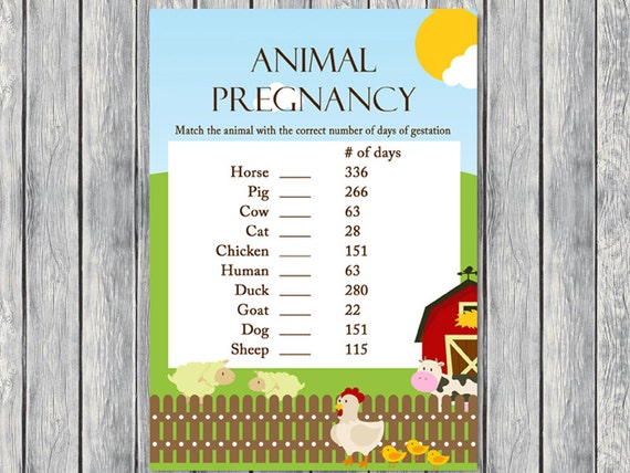 Animal pregnancy gestation game, animal pregnancy game, gender neutral ...