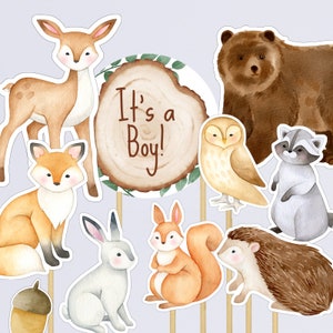 Afdrukbare Boy Woodland Animals Centerpieces, Woodland Cutouts, Woodland Cake Topper, Woodland Baby Shower Decoraties, Woodland Boy, TLC720