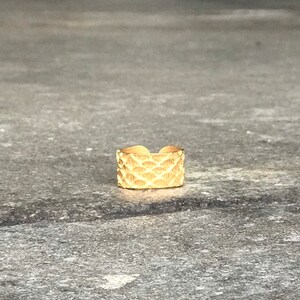 Dragon Gold Adjustable Ring Fish Scale Contemporary Jewelry 14K Gold ...