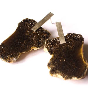 Puede incluir: Un par de pendientes con un diseño único y orgánico. Cada pendiente presenta una piedra marrón oscura texturizada con una barra plateada unida.