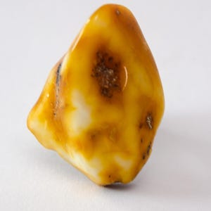 May include: A polished amber gemstone with a smooth, rounded shape. The stone features a mix of translucent yellow and creamy white hues, with a darker, speckled inclusion near the center. The amber is a natural, organic material.
