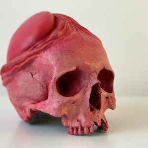 Horny Skull Sculpture