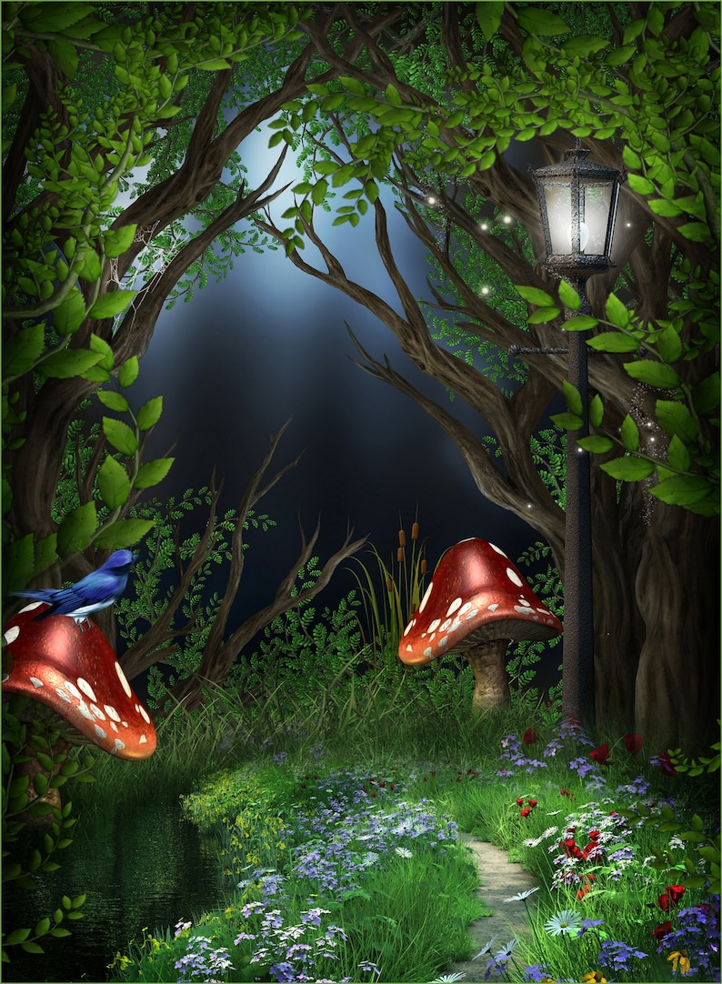 Digital Studio Instant Download Backdrop Photography Photo Etsy