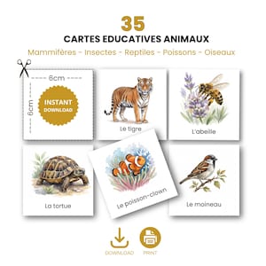 Puede incluir: Juego de 35 tarjetas educativas de animales, cada una de 6 cm, con ilustraciones de tigre, abeja, tortuga, pez payaso y gorrión. Disponible para descarga instantánea.